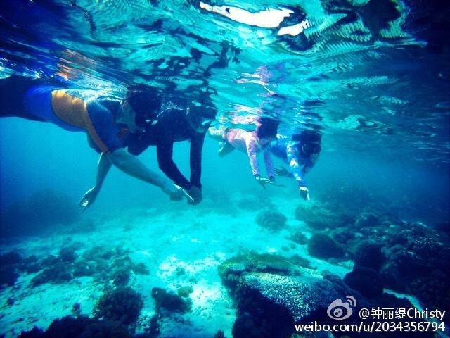 天绿元素骗局？，这是真的吗？